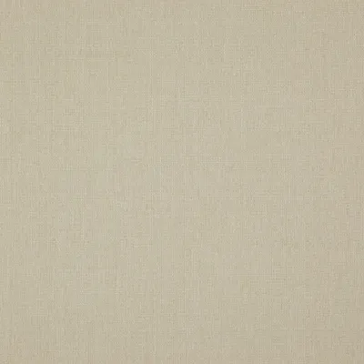 Rye 04 Shell swatch