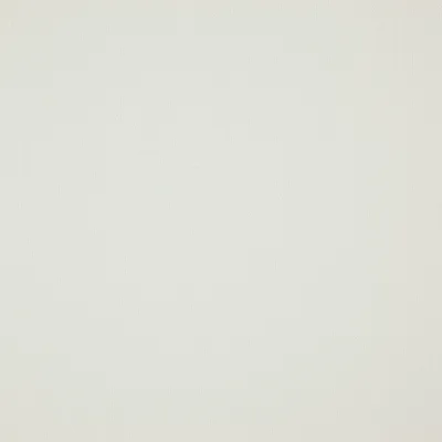 Rye 06 Bright White swatch