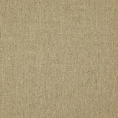 Rye 09 Putty swatch