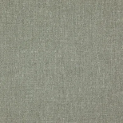 Rye 14 Silver swatch