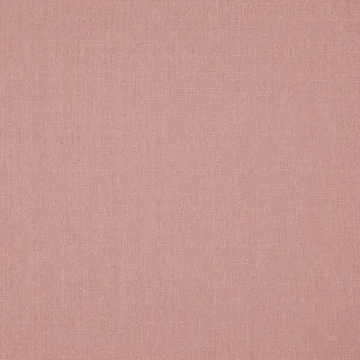 Rye 19 Blush swatch