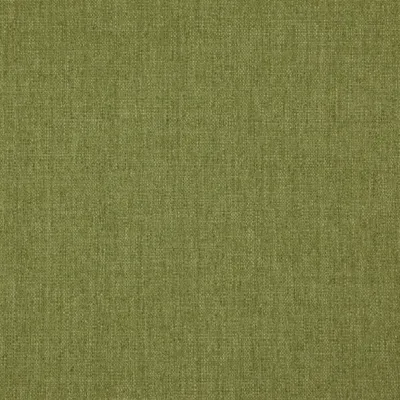 Rye 30 Grass swatch