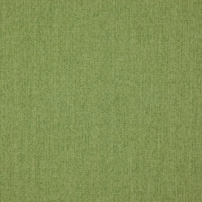 Rye 31 Palm swatch