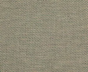 Samburu 10 Chameleon swatch