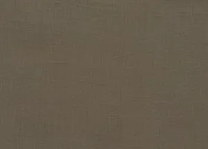 Sense 13 mushroom swatch