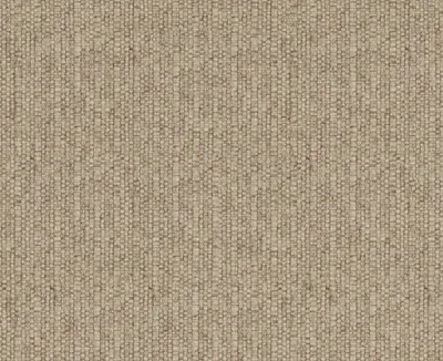 Shetland 28 Beige swatch