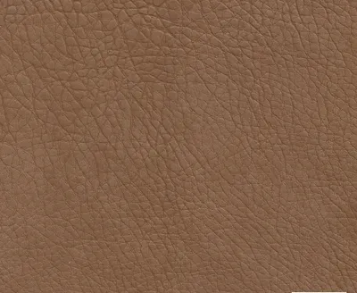 Stanford 02 Hazel swatch