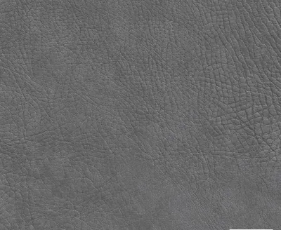 Stanford 03 Zinc swatch