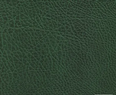 Stanford 06 Agave swatch