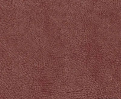 Stanford 07 Barbera swatch