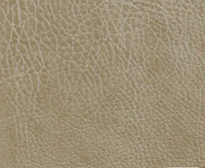 Stanford 08 Latte swatch