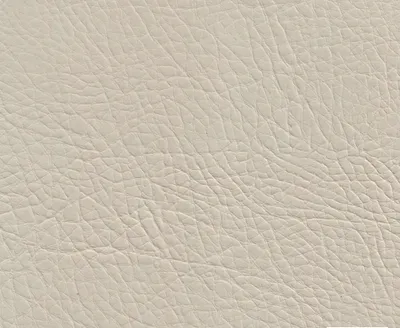 Stanford 10 Ecru swatch