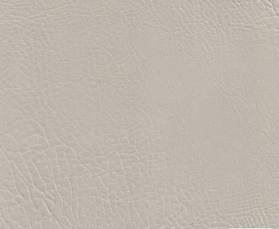 Stanford 11 Putty swatch