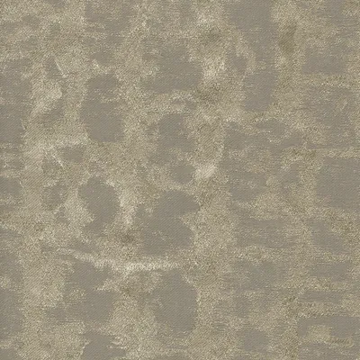 Stellar 04 Taupe swatch