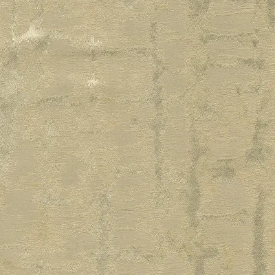 Stellar 10 Champagne swatch