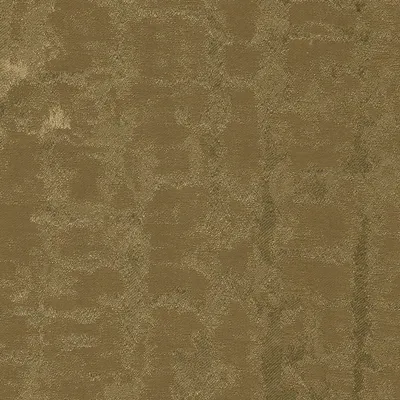 Stellar 13 Toffee swatch
