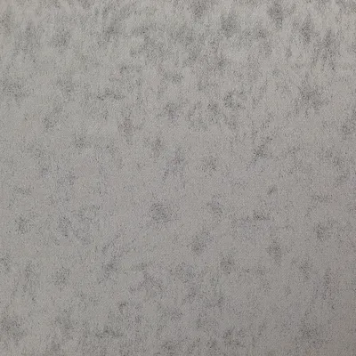 Stelvio 04 Platinum swatch