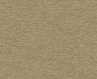 Teddy 10 Khaki swatch