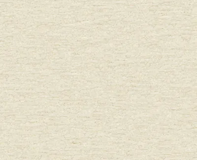Teddy 16 Cream swatch