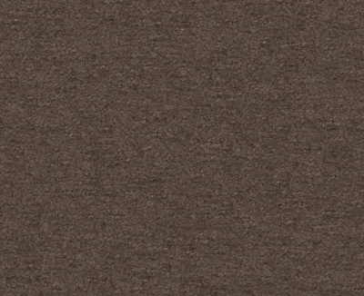 Teddy 21 Espresso swatch