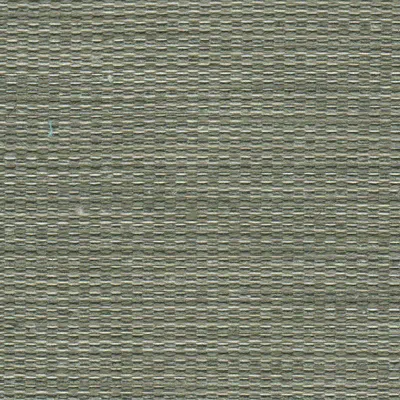Tierra 03 Flint swatch