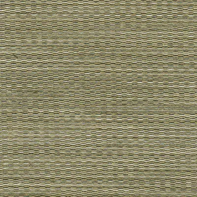 Tierra 04 Mushroom swatch