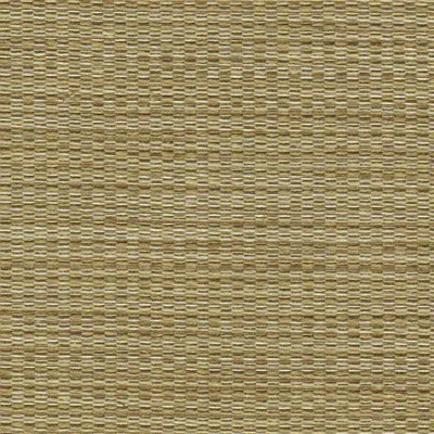 Tierra 05 Gold swatch