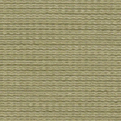 Tierra 06 Sand swatch