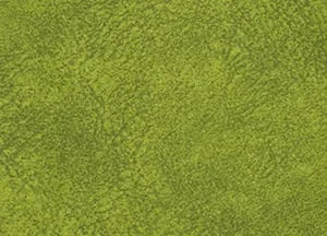 Walbrook 25 Clover swatch