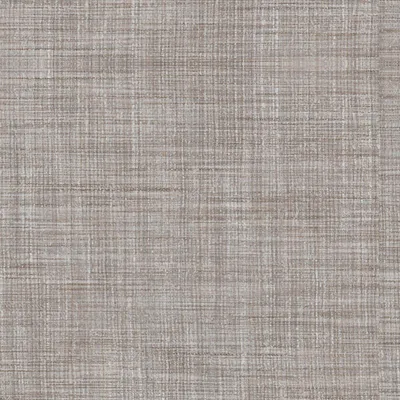 Yangtze 05 Greige swatch