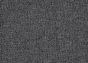 Zephyr 03 Shale swatch