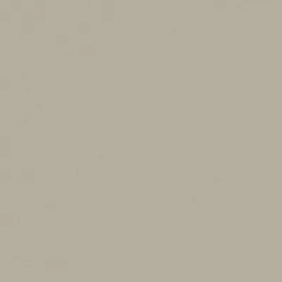 Zion 15Taupe swatch