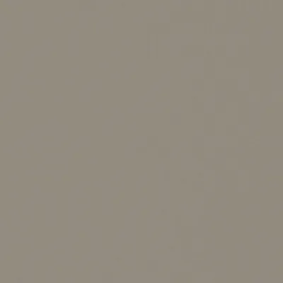 Zion 17 Terra swatch