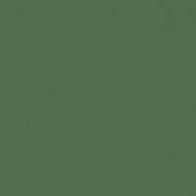 Zion 42 Jungle swatch