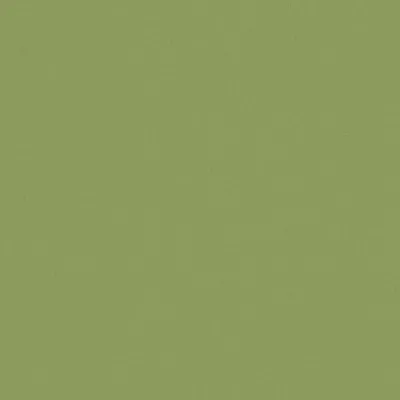 Zion 44 Apple swatch
