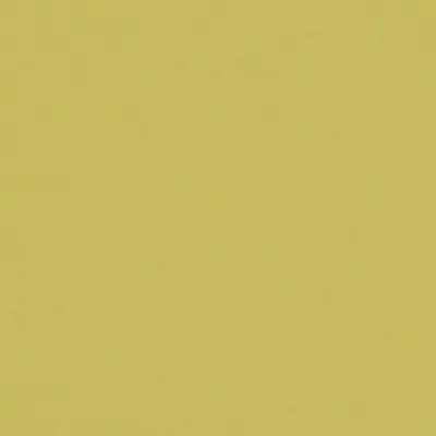 Zion 47 Citrus swatch