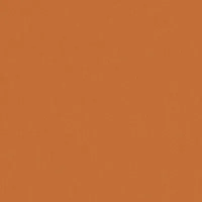 Zion 51 Pumpkin swatch