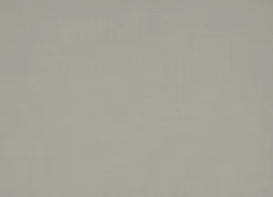 Zonda 10 Mushroom swatch